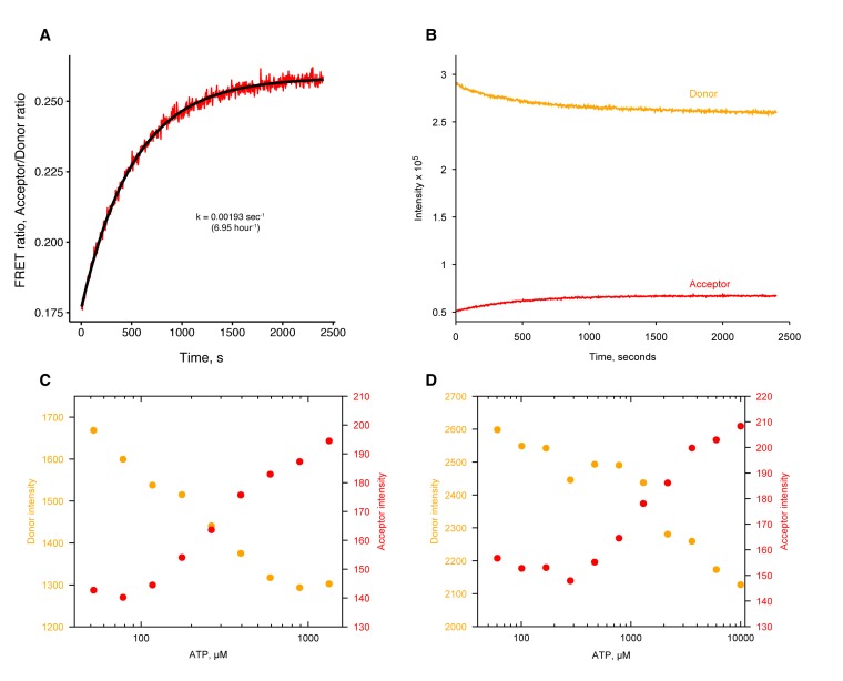 Figure 3—figure supplement 1.