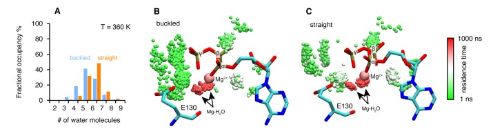 Figure 4—figure supplement 1.