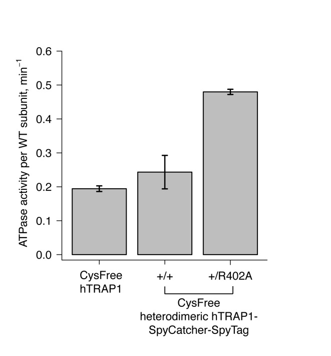 Figure 1—figure supplement 2.