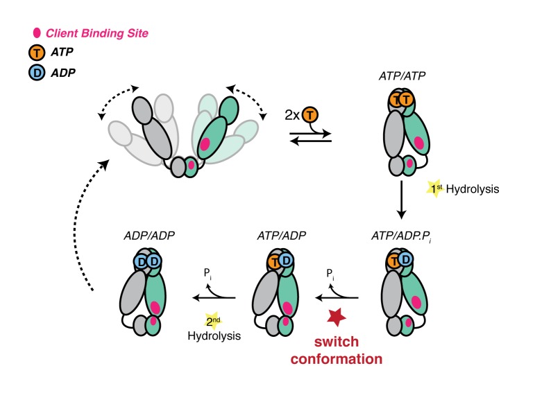 Figure 6.