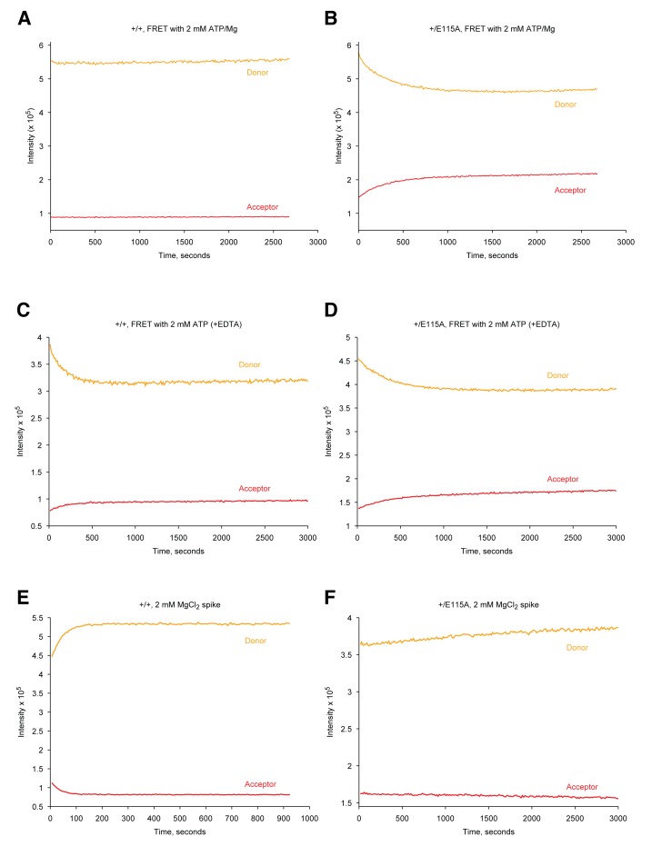 Figure 1—figure supplement 1.