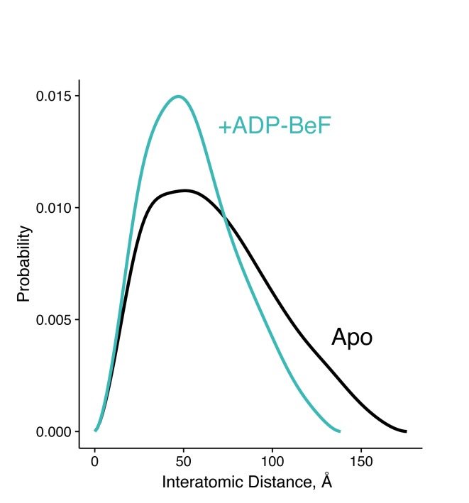 Figure 5—figure supplement 1.