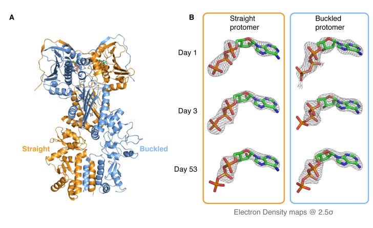 Figure 2.