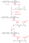 Scheme 2