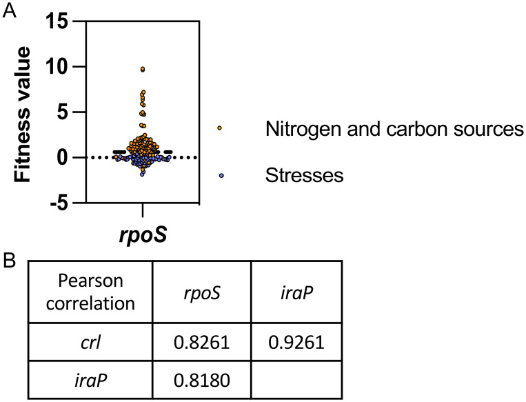 Fig 9