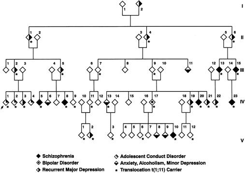 Figure  1