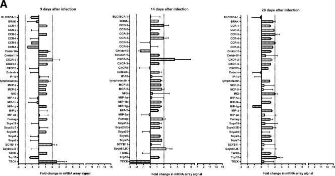 FIG.3.