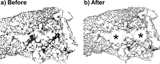 FIG. 7.