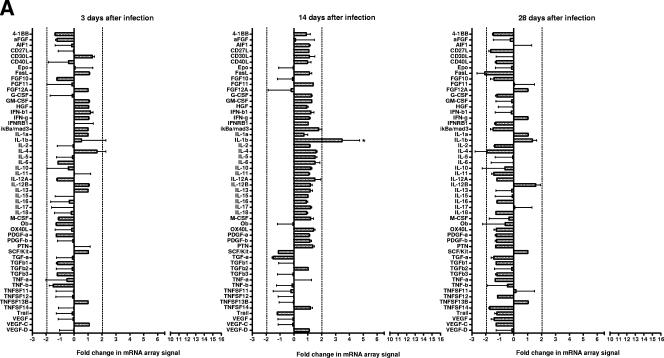 FIG.2.