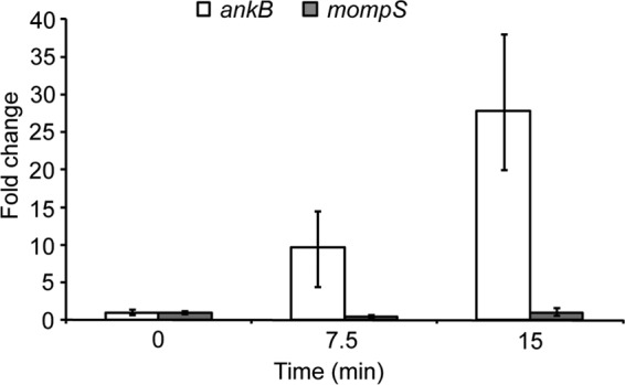 FIG 1