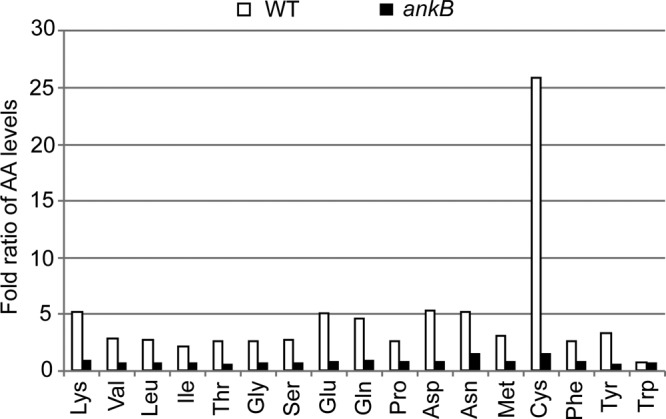 FIG 6