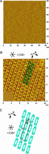 Fig. 4.