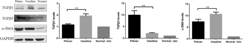 Fig. 12