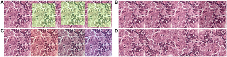 FIGURE 2