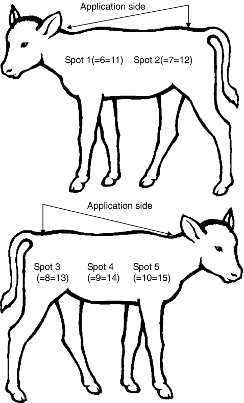 Fig. 1