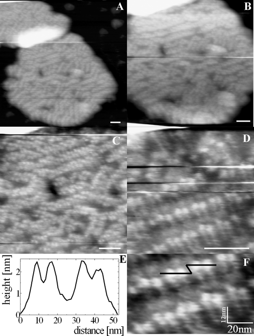 FIGURE 3.