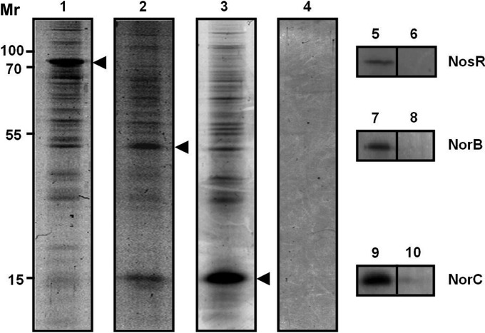 FIG 3