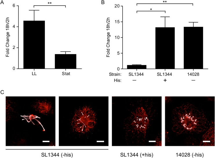 FIG 3