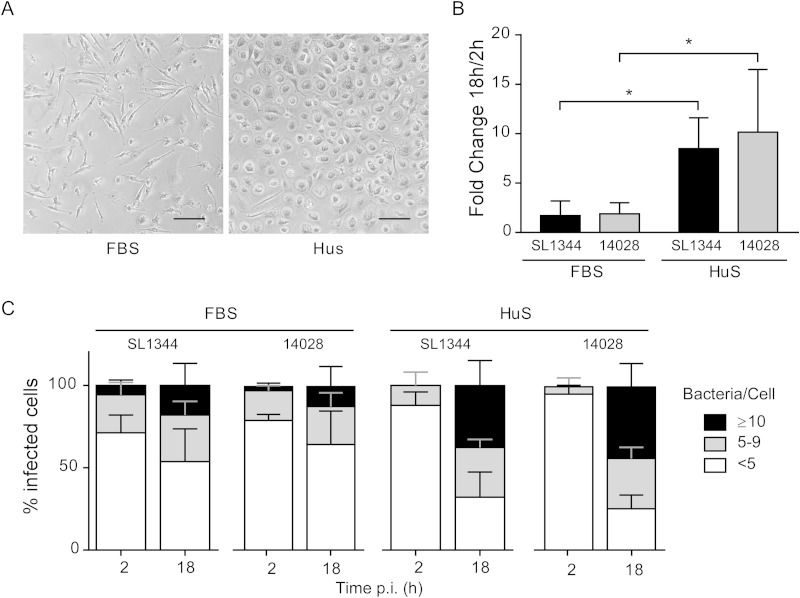 FIG 2