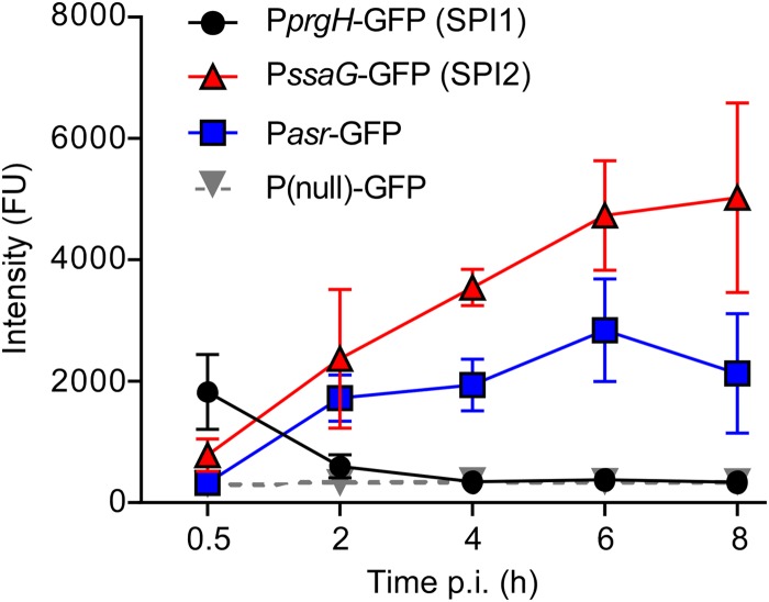 FIG 4