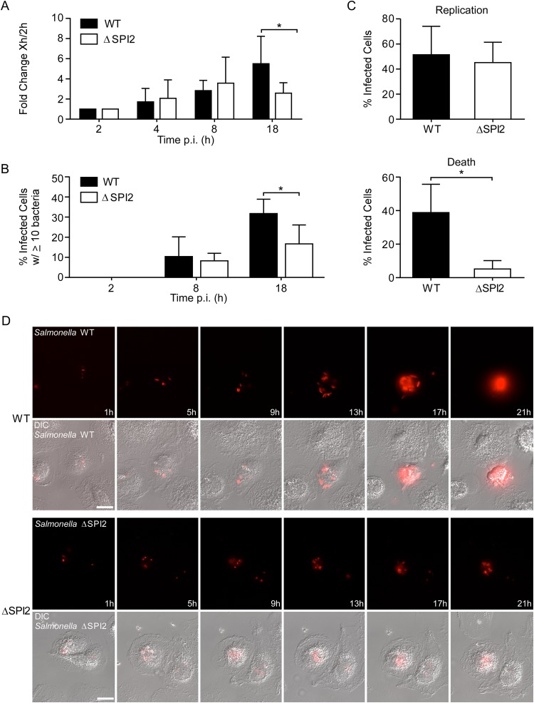 FIG 6