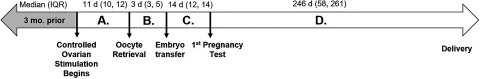 Figure 1 is a timeline marking the following: 3 months prior to controlled ovarian stimulation; Period A controlled ovarian stimulation (11 days), Period B retrieval to embryo transfer (3 days); Period C transfer to first pregnancy test (14 days); and Period D pregnancy test to delivery (246 days).