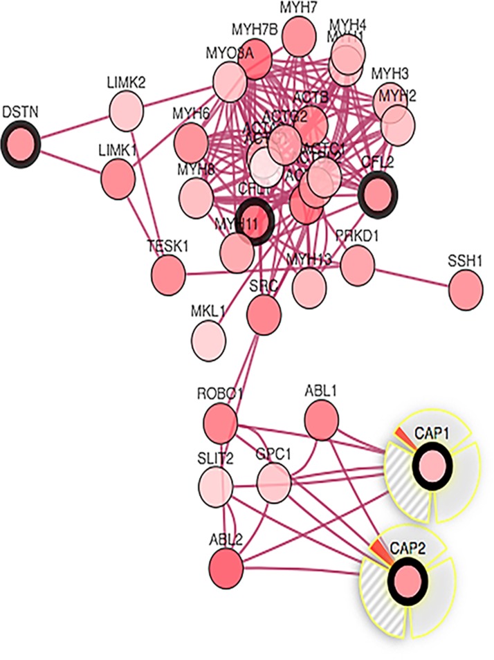 Figure 13