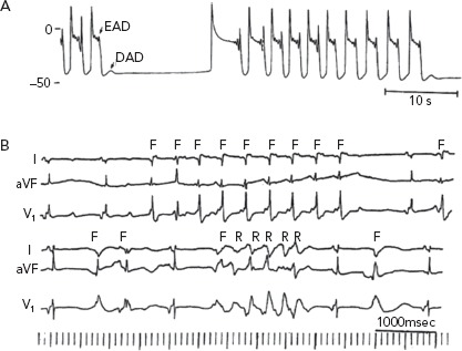 Figure 5: