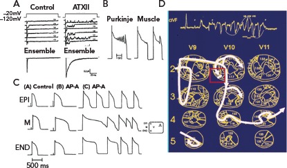 Figure 4: