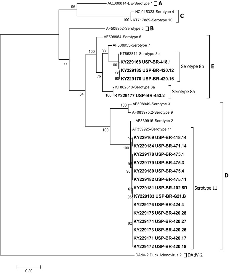 Fig. 1