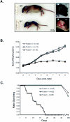 FIG. 2.