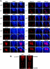 FIG.4.