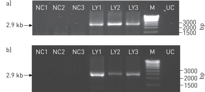 Figure 4–