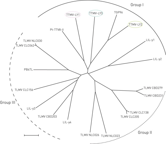 Figure 1–