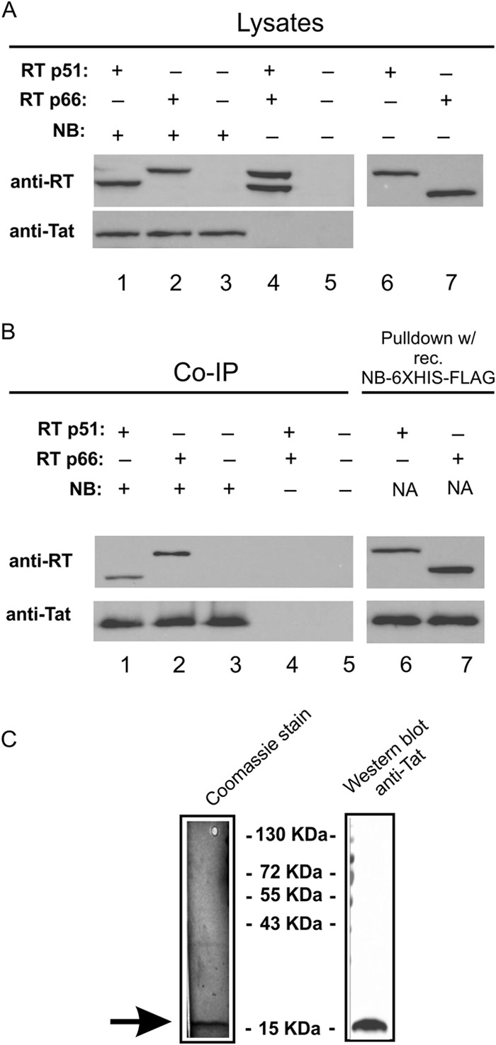 FIG 1