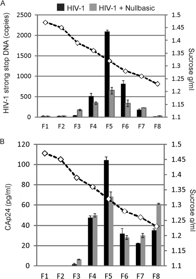 FIG 6