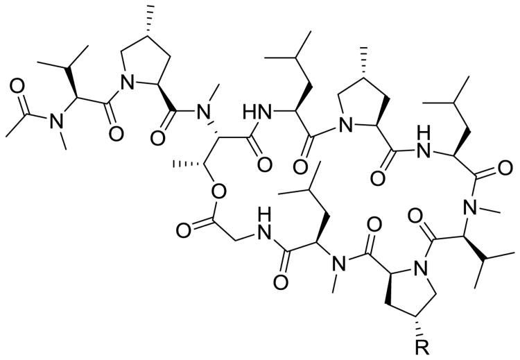 Fig. 17