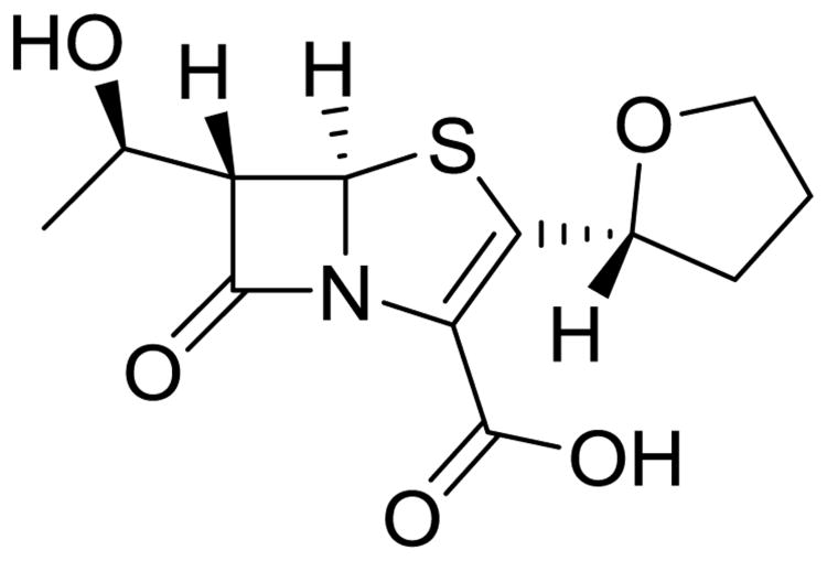 Fig. 12