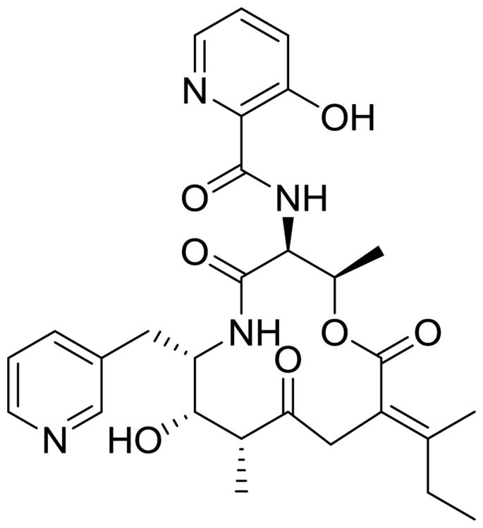 Fig. 19