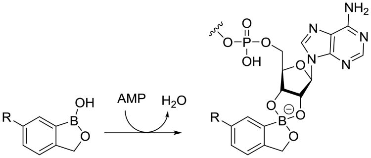 Fig. 15