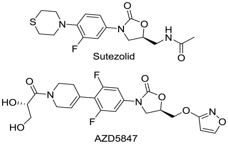 Fig. 13