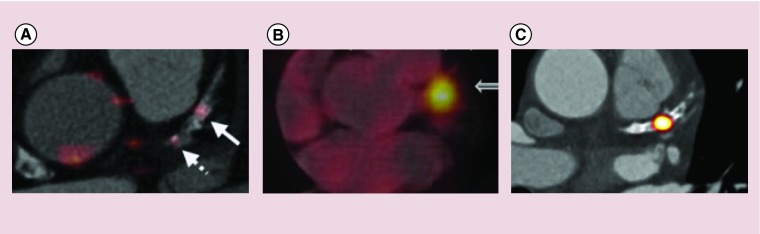 Figure 3. 