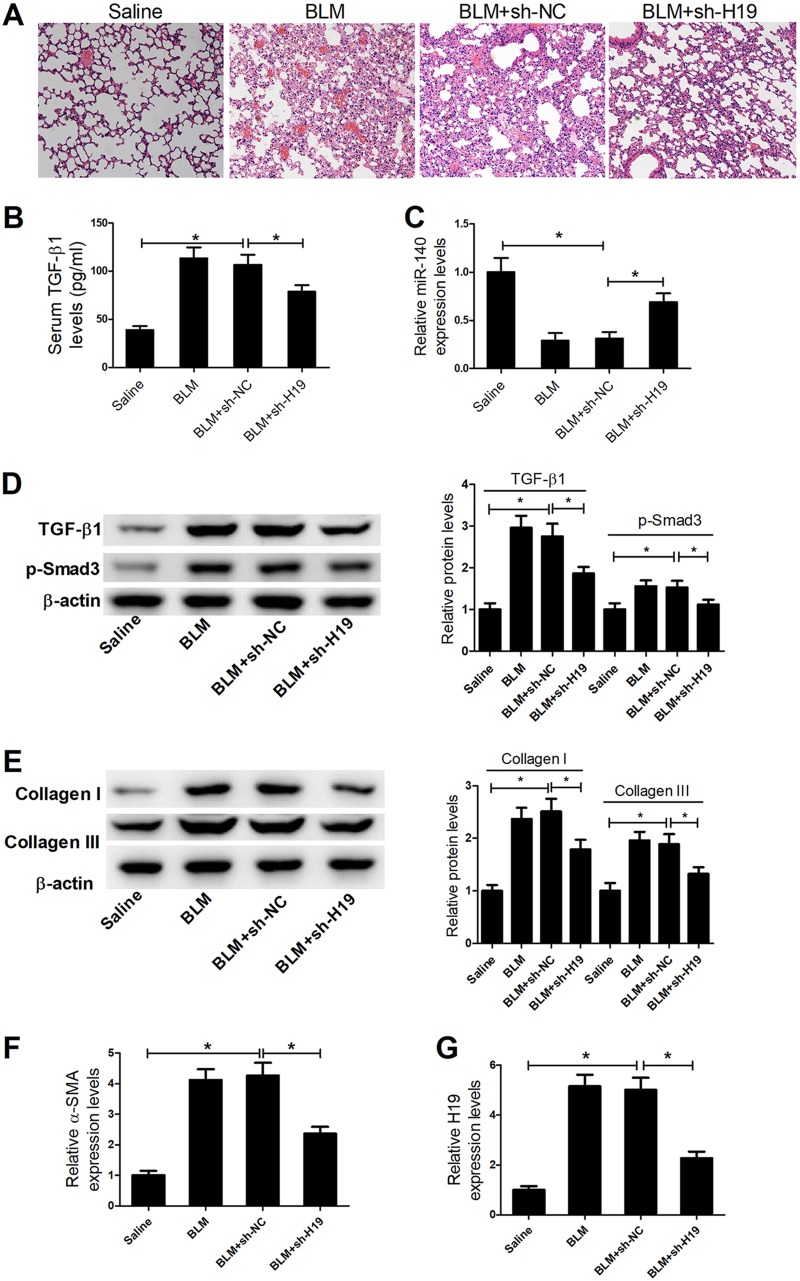 FIG 6