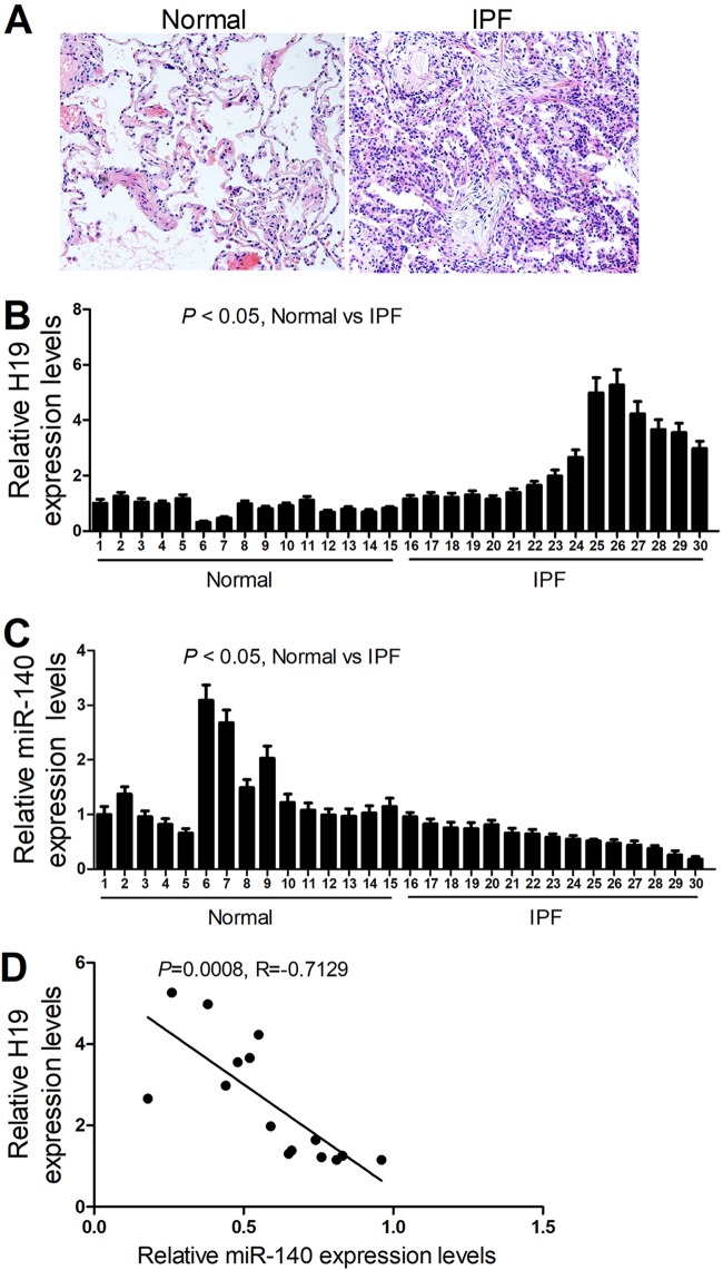 FIG 1