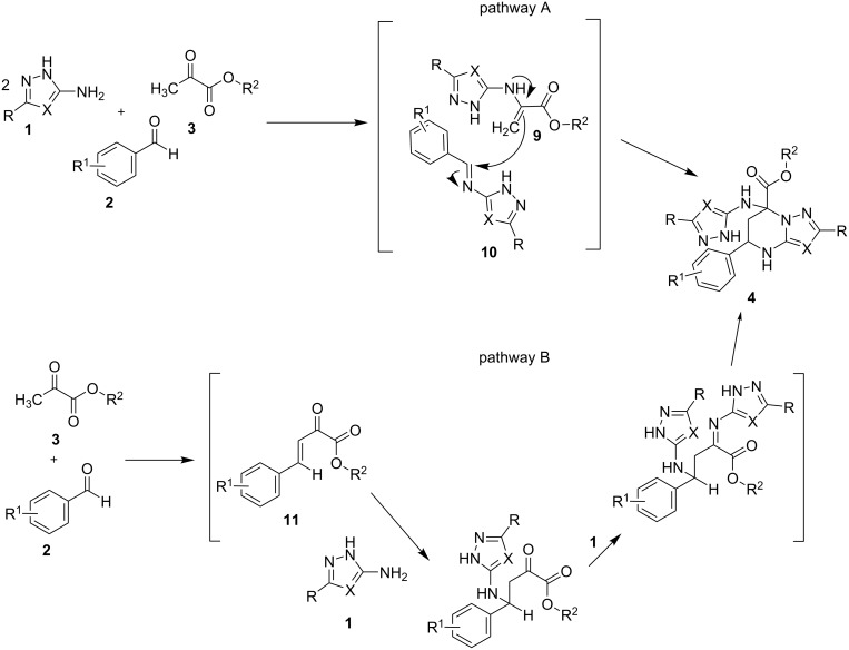 Scheme 6