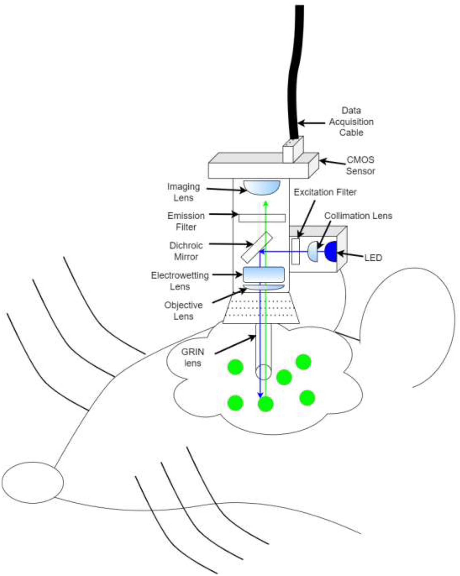 Figure 1A: