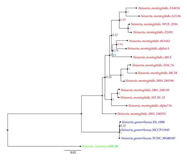 Figure 1