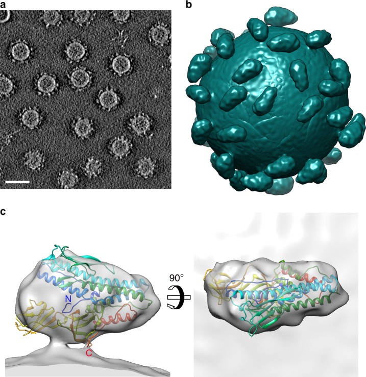 Fig. 2