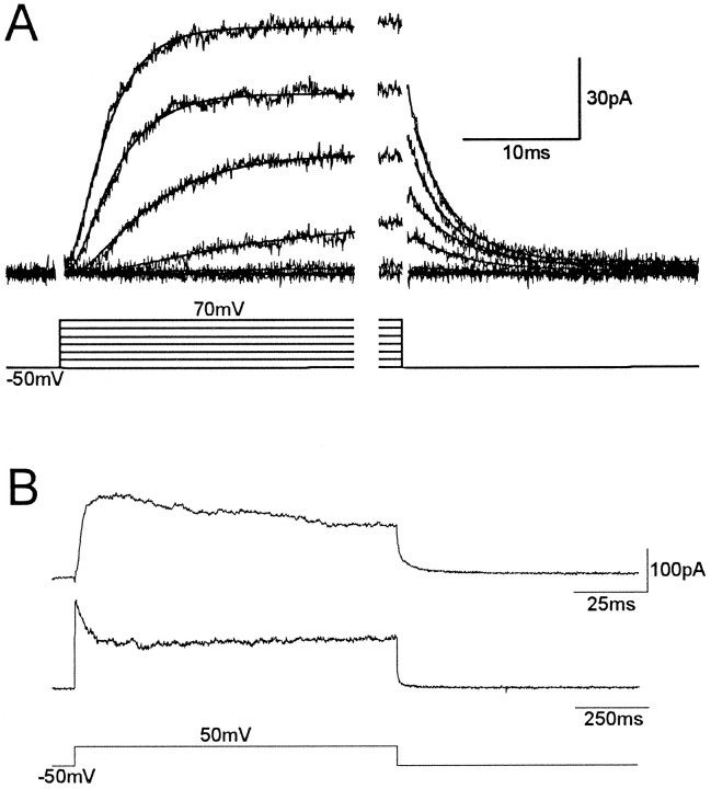 Fig. 5.