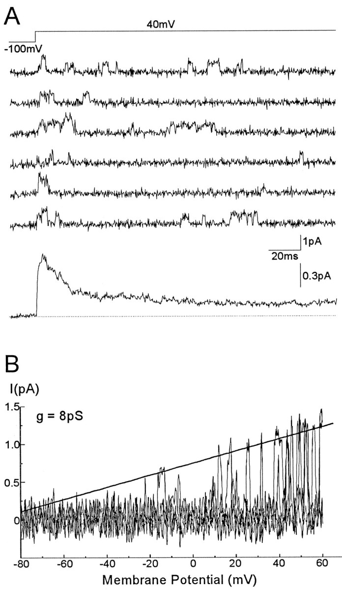 Fig. 7.